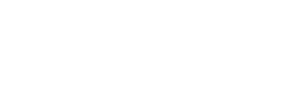 Viscap Sdn Bhd